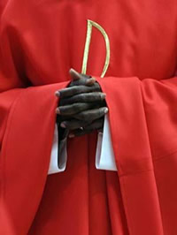 Un Cardenal celebrando la Misa